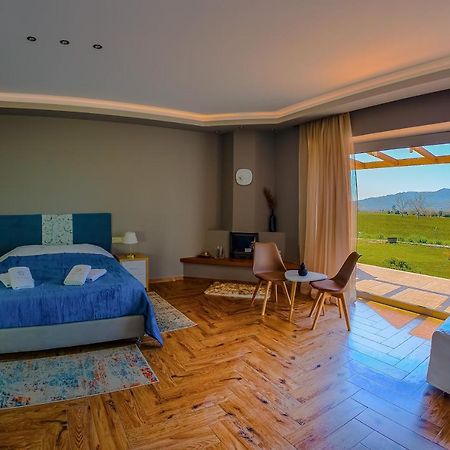 Atrium Vinea Brintziki Winery Apartman Smila Kültér fotó
