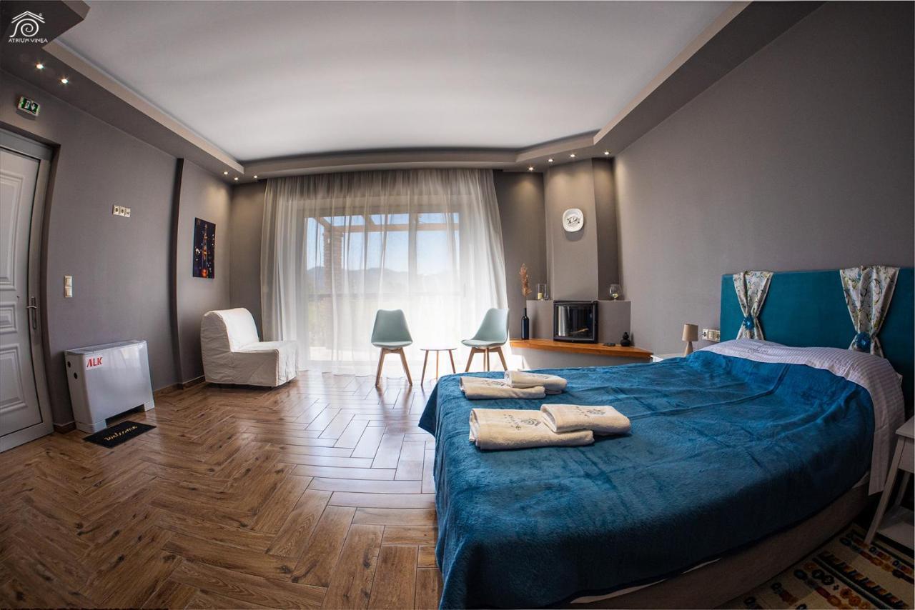Atrium Vinea Brintziki Winery Apartman Smila Kültér fotó