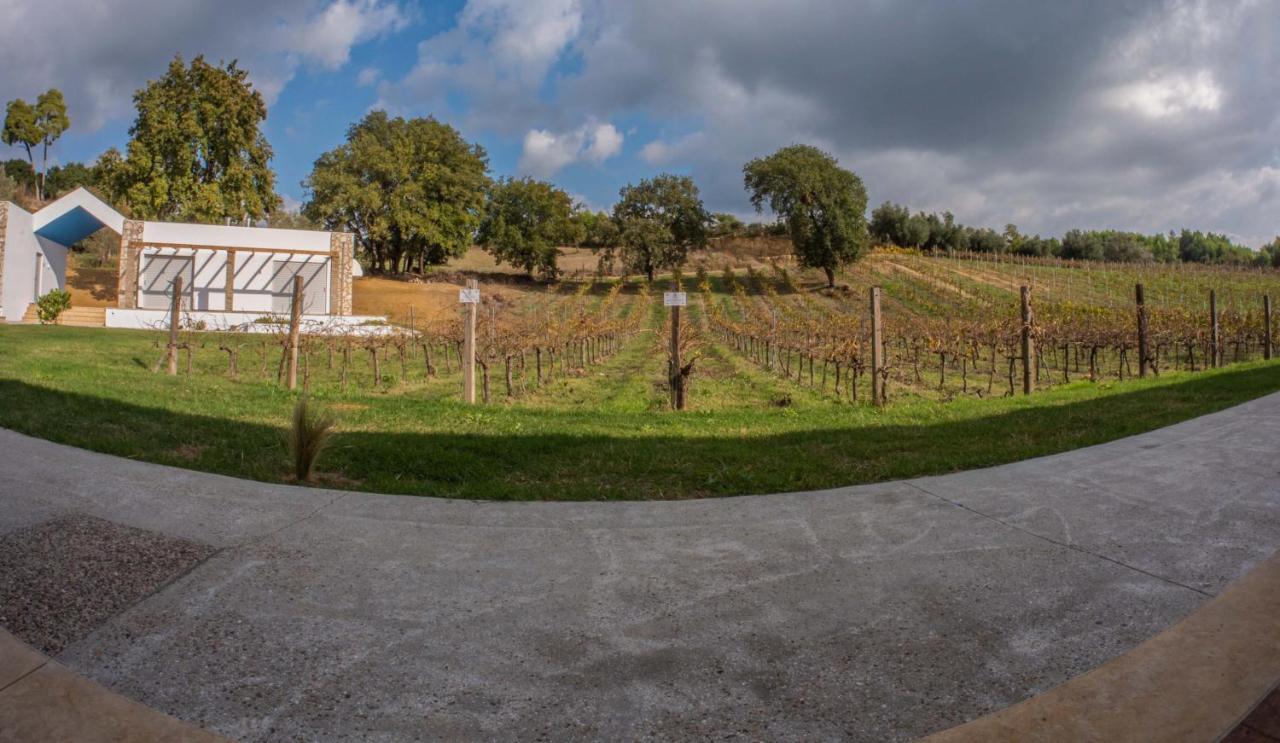 Atrium Vinea Brintziki Winery Apartman Smila Kültér fotó