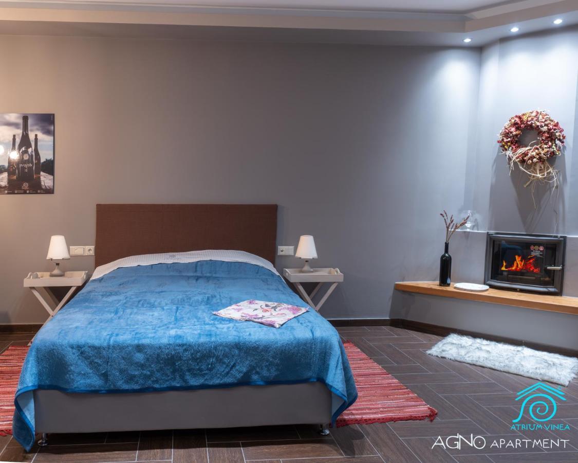 Atrium Vinea Brintziki Winery Apartman Smila Kültér fotó