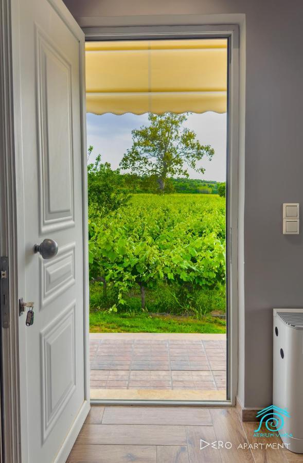 Atrium Vinea Brintziki Winery Apartman Smila Kültér fotó