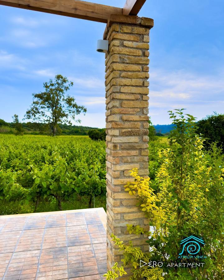 Atrium Vinea Brintziki Winery Apartman Smila Kültér fotó